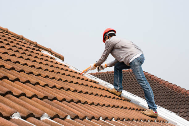 Best Wood Shake Roofing  in Pike Creek Valley, DE